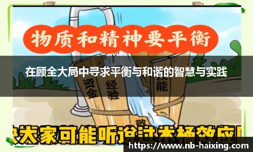 在顾全大局中寻求平衡与和谐的智慧与实践
