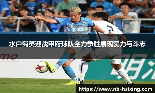水户蜀葵迎战甲府球队全力争胜展现实力与斗志